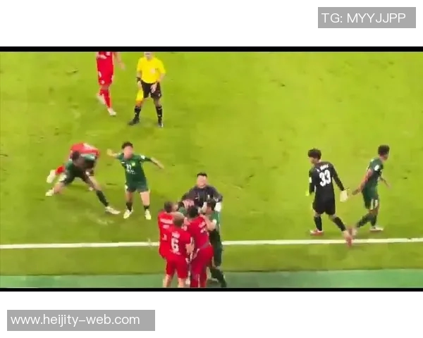 足球场上的激烈冲突与打斗瞬间精彩视频集锦