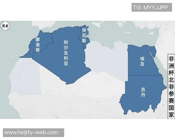 利比亚足球的崛起与挑战：探寻北非足球新生力量的未来发展之路