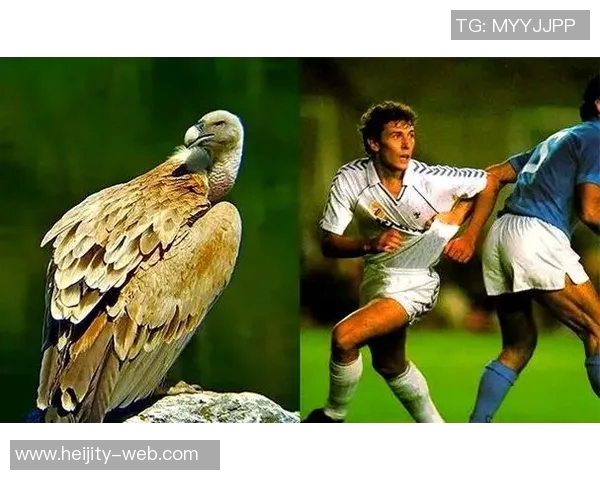 足球明星的外号揭秘：那些让人难忘的绰号背后的故事与传奇